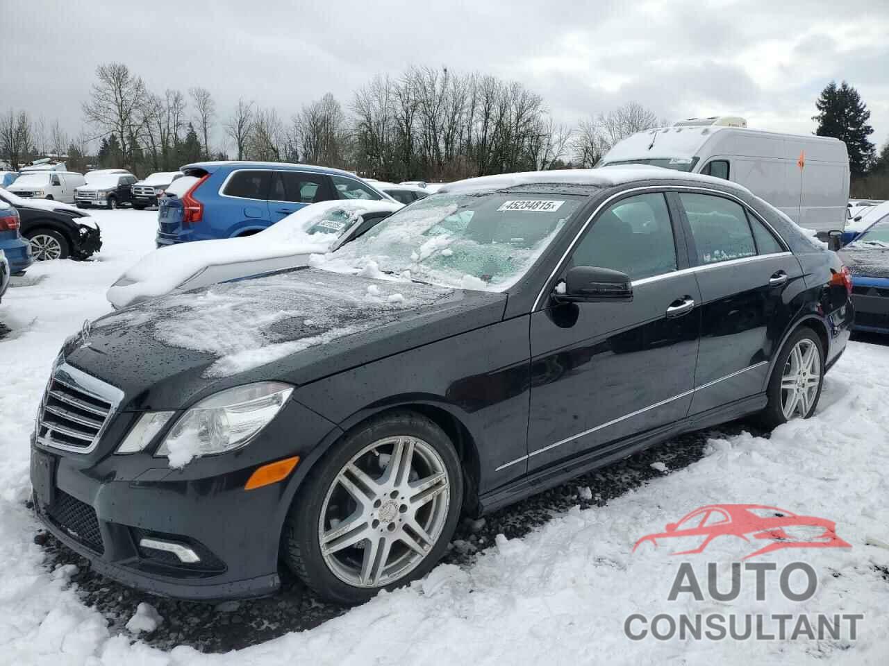 MERCEDES-BENZ E-CLASS 2010 - WDDHF8HB5AA103048