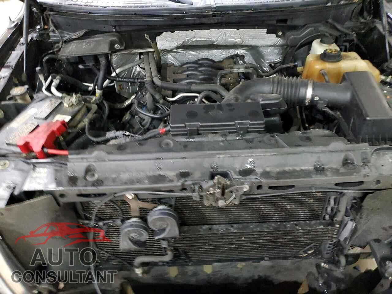 FORD F150 2011 - 1FTFX1EF4BFC31220