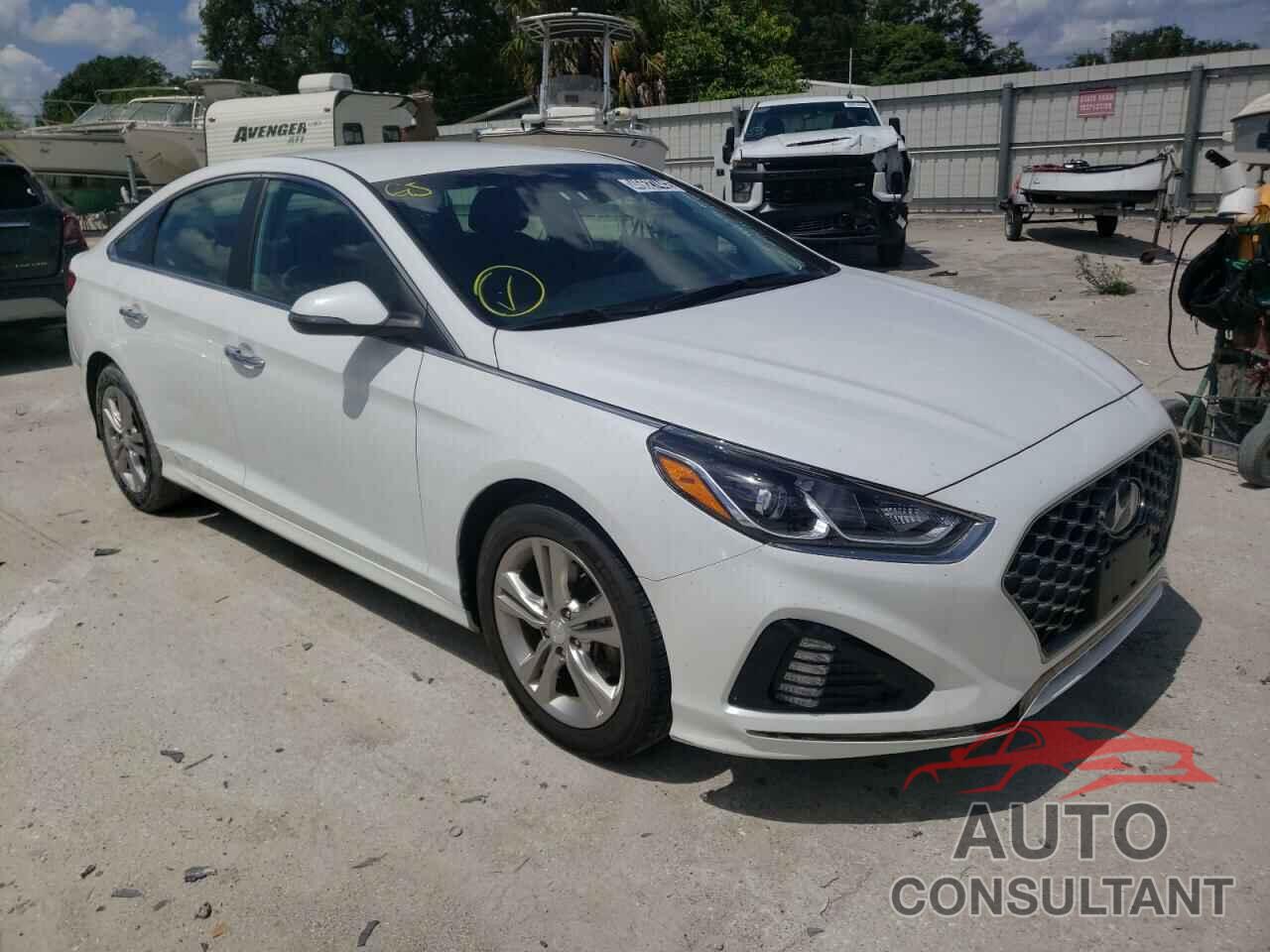HYUNDAI SONATA 2019 - 5NPE34AF5KH773608