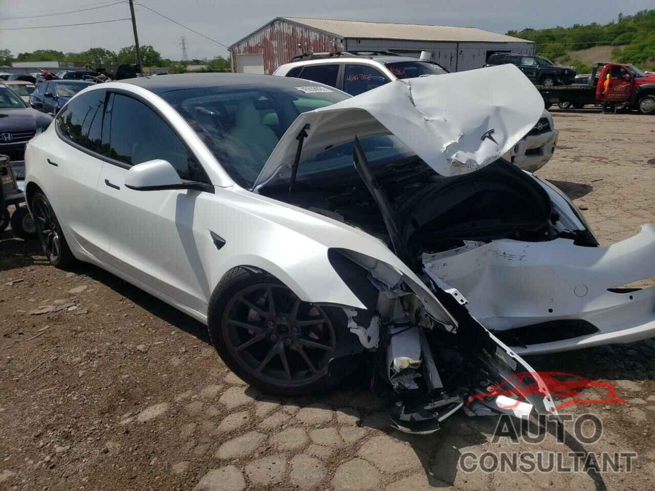 TESLA MODEL 3 2019 - 5YJ3E1EB0KF513171