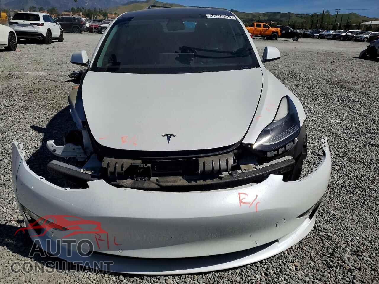TESLA MODEL 3 2021 - 5YJ3E1EA8MF062792