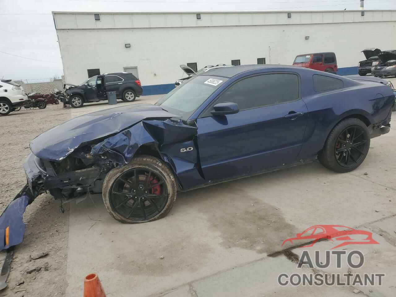FORD MUSTANG 2011 - 1ZVBP8CF6B5128751