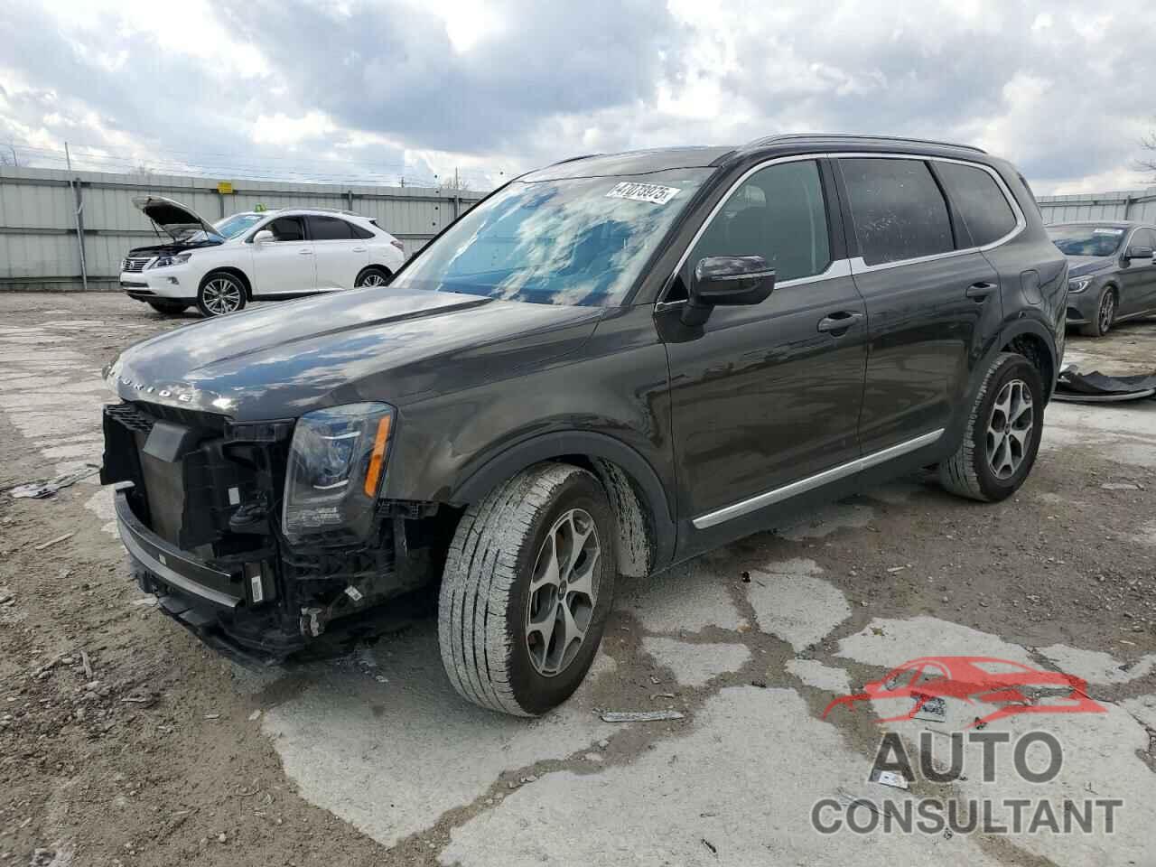KIA TELLURIDE 2020 - 5XYP3DHC1LG039142