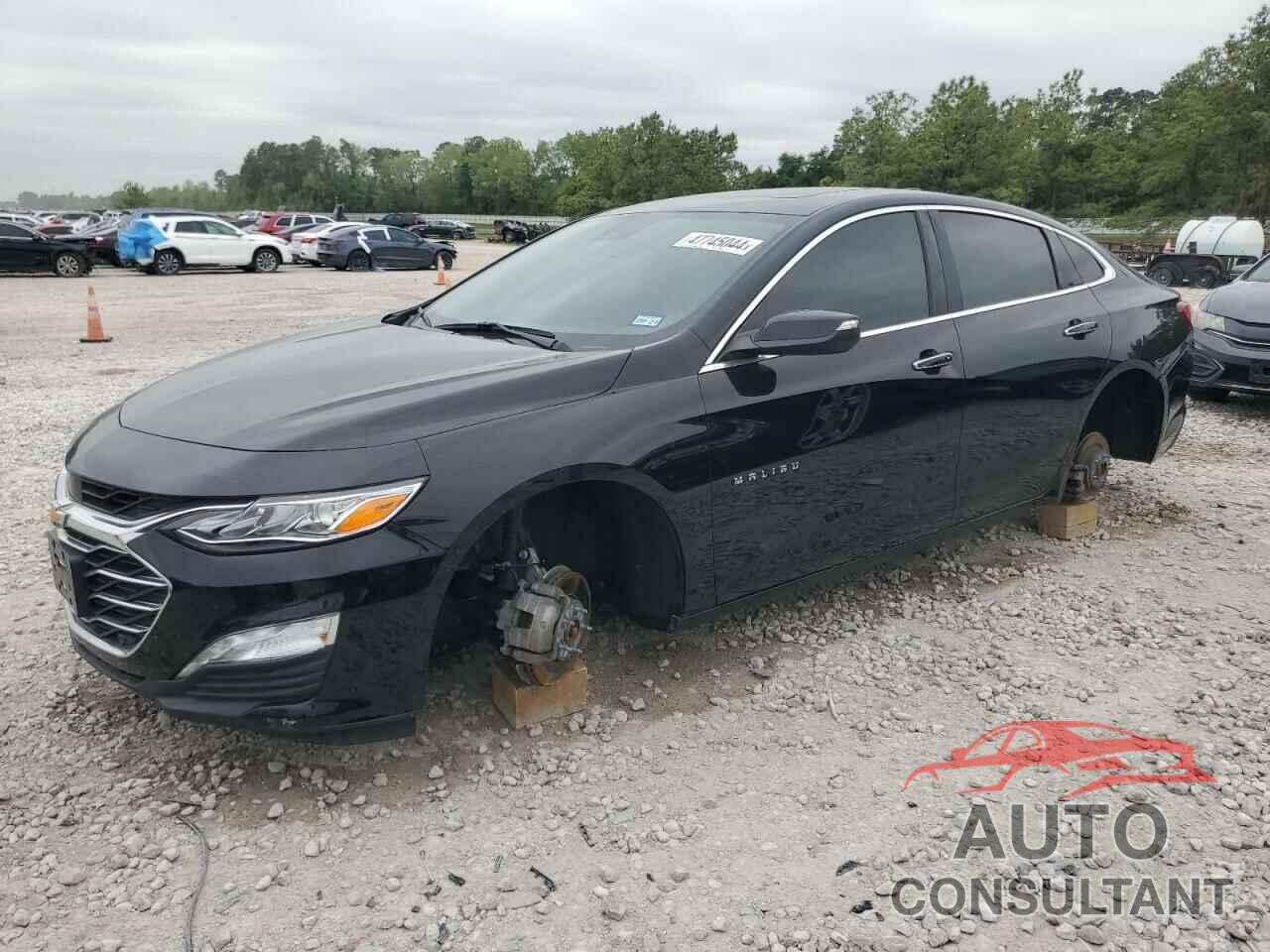 CHEVROLET MALIBU 2019 - 1G1ZE5SX8KF190591