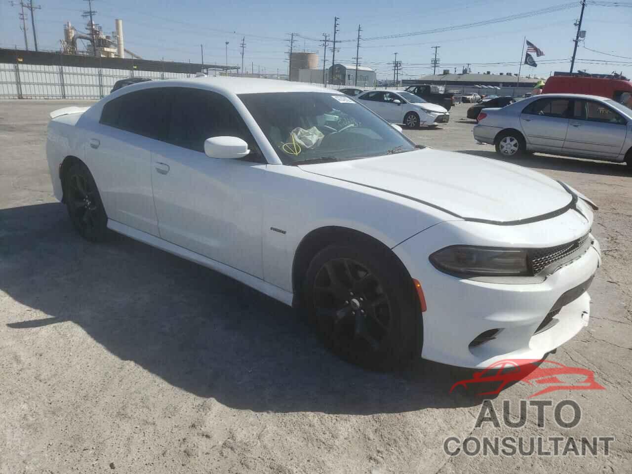 DODGE CHARGER 2019 - 2C3CDXCTXKH597984