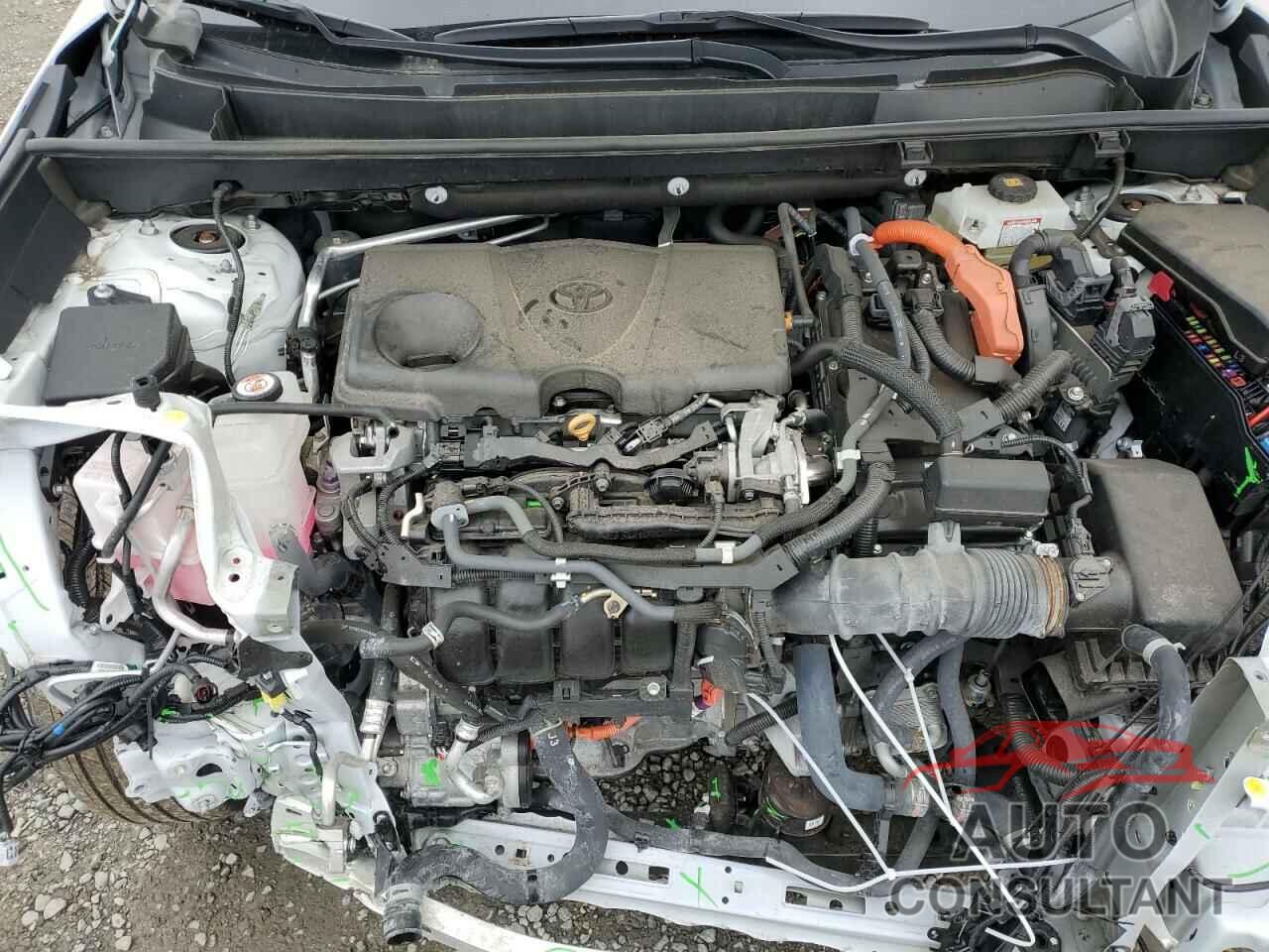 TOYOTA RAV4 2020 - 2T3RWRFV5LW079145
