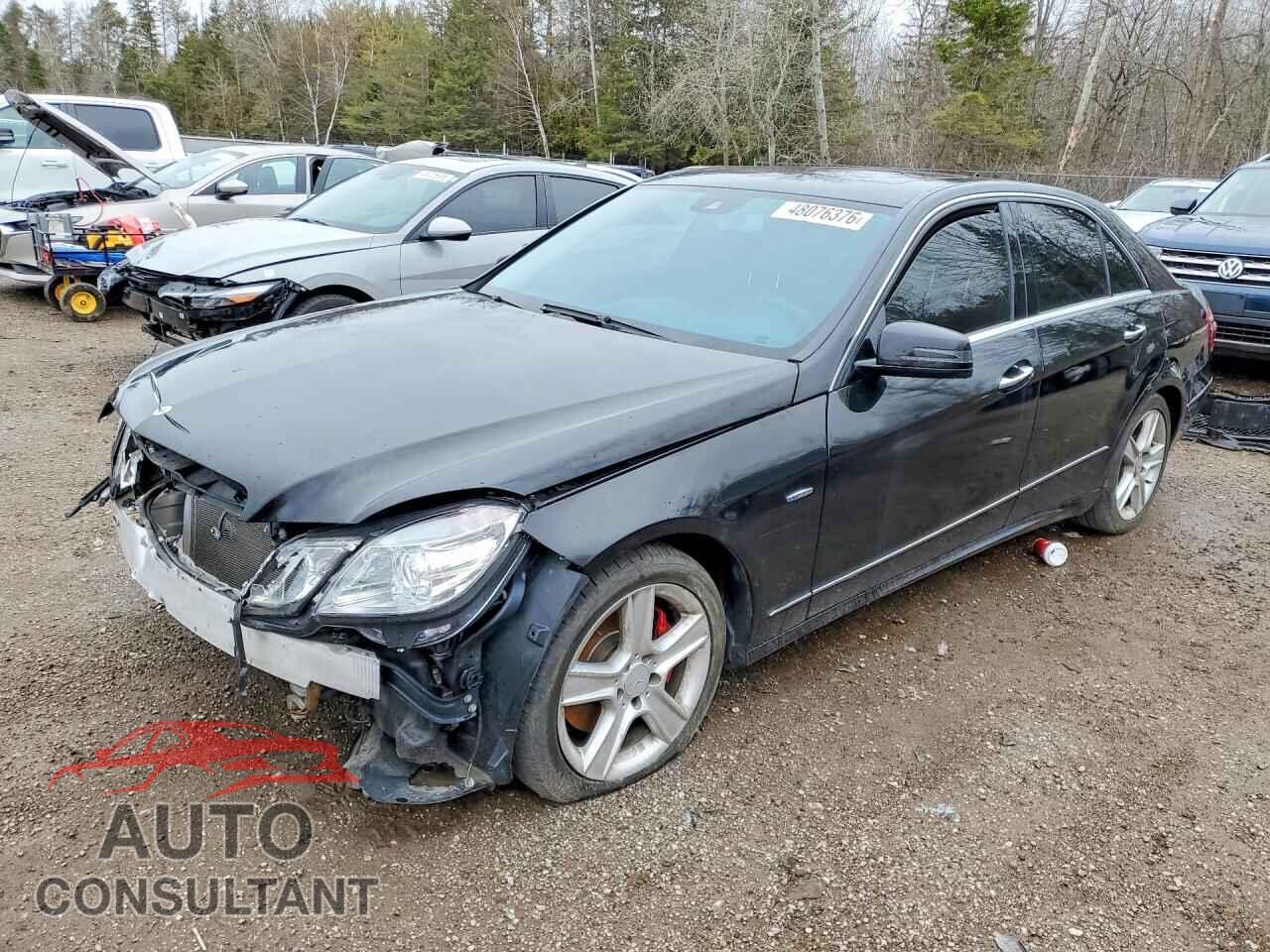 MERCEDES-BENZ E-CLASS 2012 - WDDHF82B2CA625244