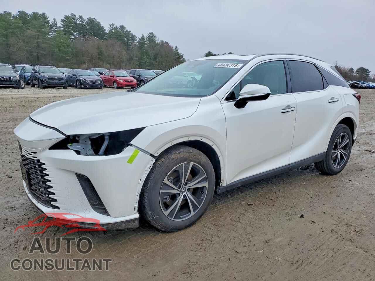 LEXUS UNKNOWN 2024 - 2T2BBMCA3RC030459