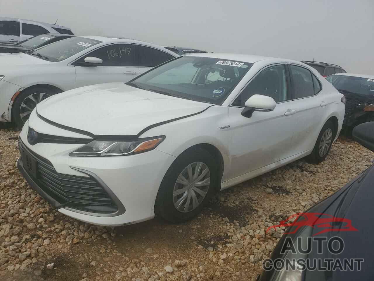 TOYOTA CAMRY 2021 - 4T1C31AK0MU567748