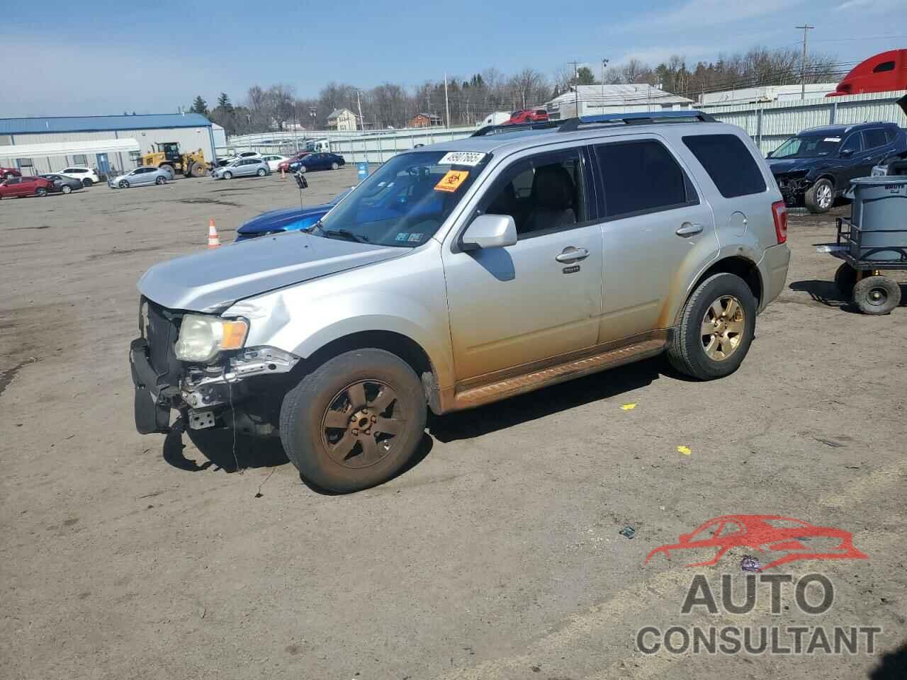 FORD ESCAPE 2011 - 1FMCU9EG2BKB94531