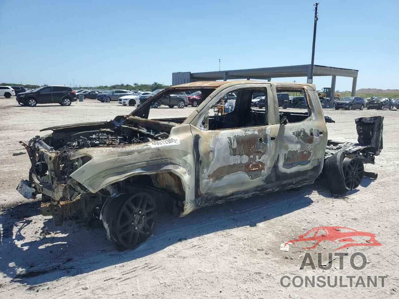 TOYOTA TACOMA 2024 - 3TYLB5JN0RT050331