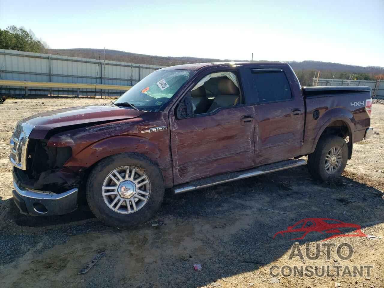 FORD F-150 2010 - 1FTFW1EV2AFD23516