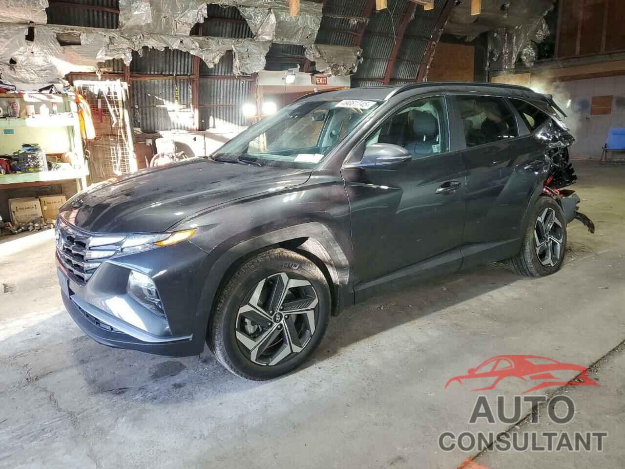 HYUNDAI TUCSON 2024 - 5NMJFCDE9RH353859