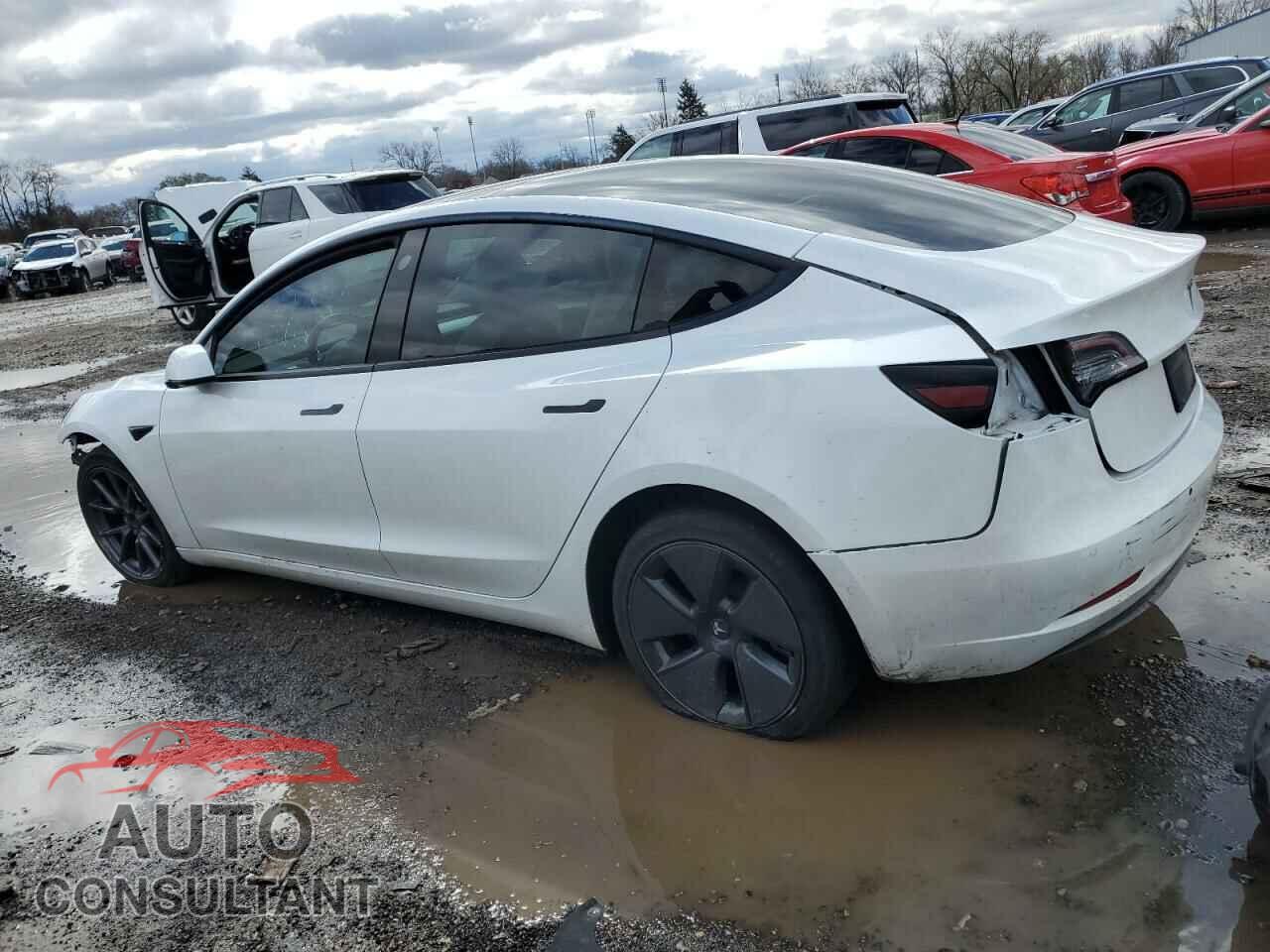 TESLA MODEL 3 2021 - 5YJ3E1EB5MF960551
