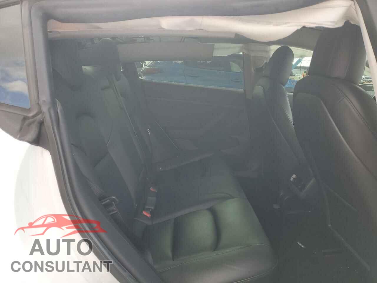 TESLA MODEL 3 2021 - 5YJ3E1EA3MF031711