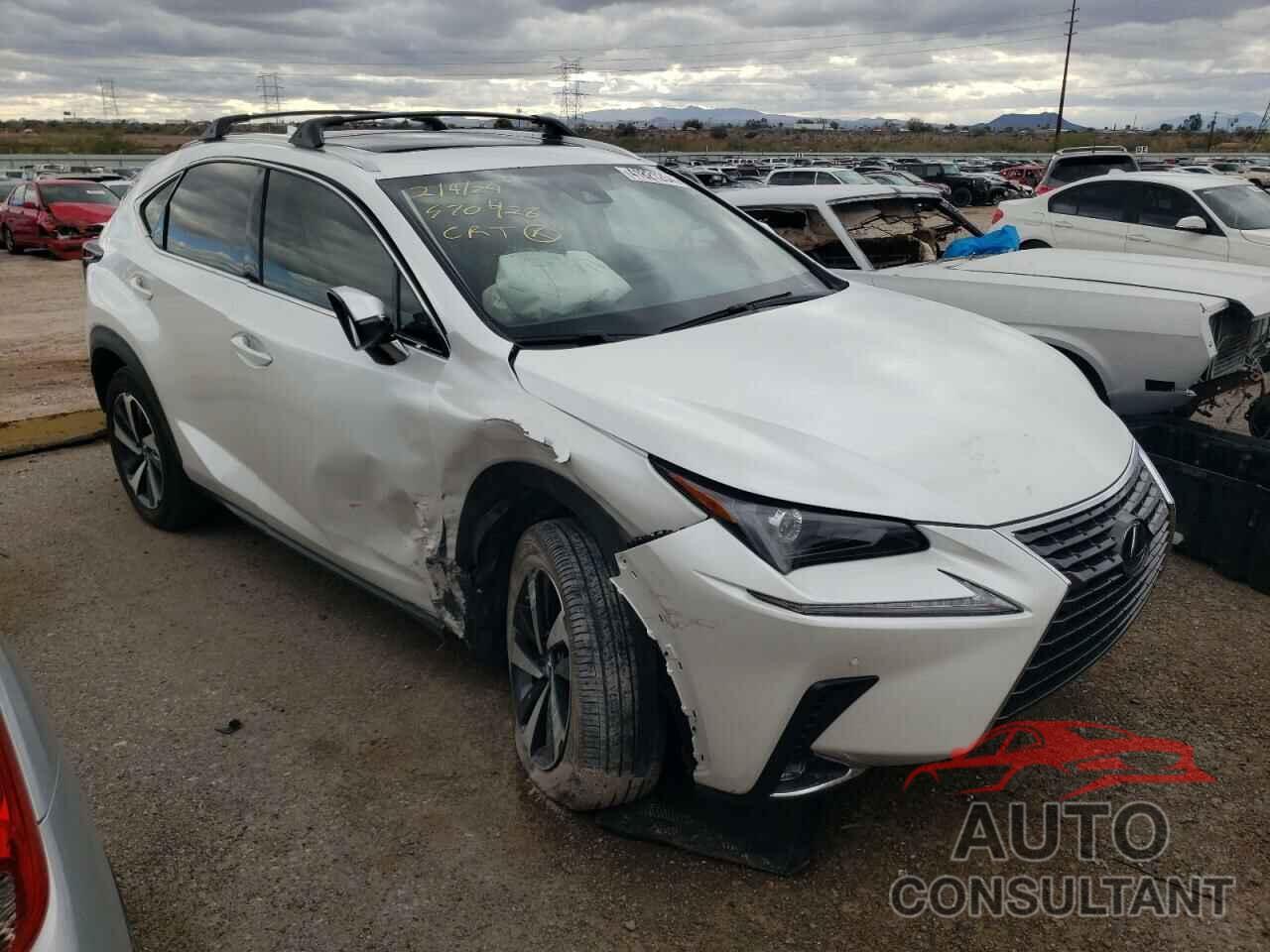 LEXUS NX 2021 - JTJGARBZ4M5033262