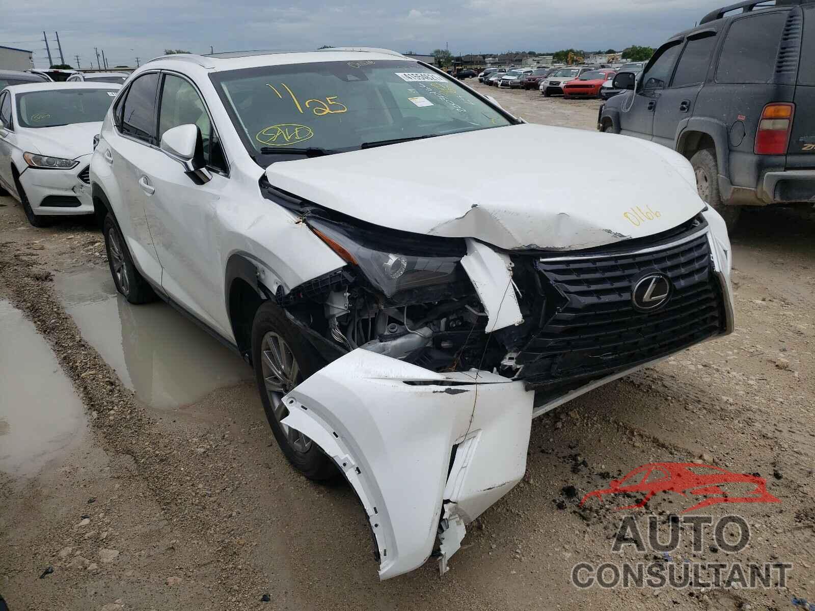 LEXUS NX 2019 - JTJYARBZ5K2124690