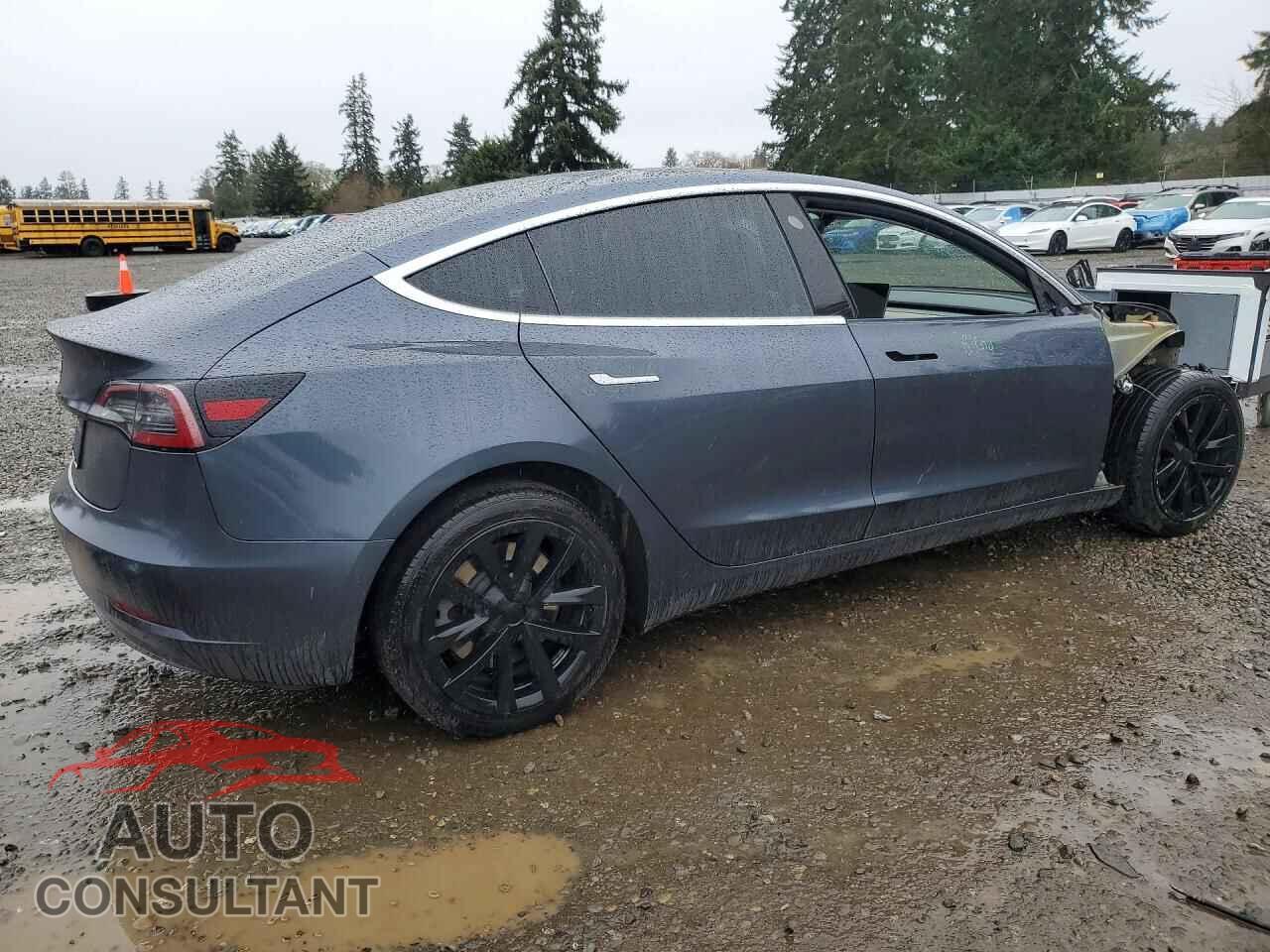 TESLA MODEL 3 2019 - 5YJ3E1EA1KF447463