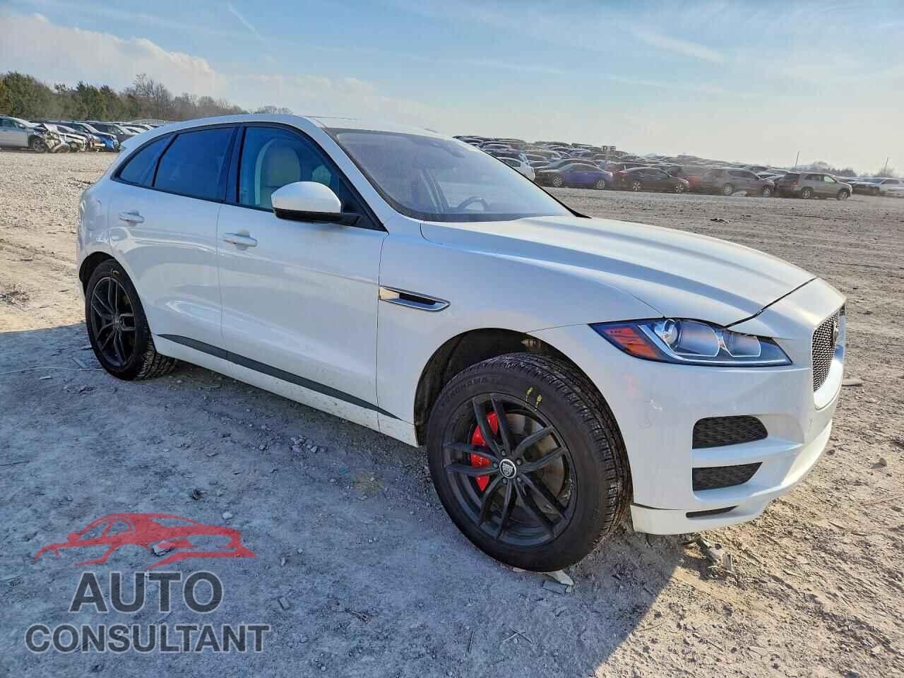 JAGUAR F-PACE 2017 - SADCS2BV8HA488202