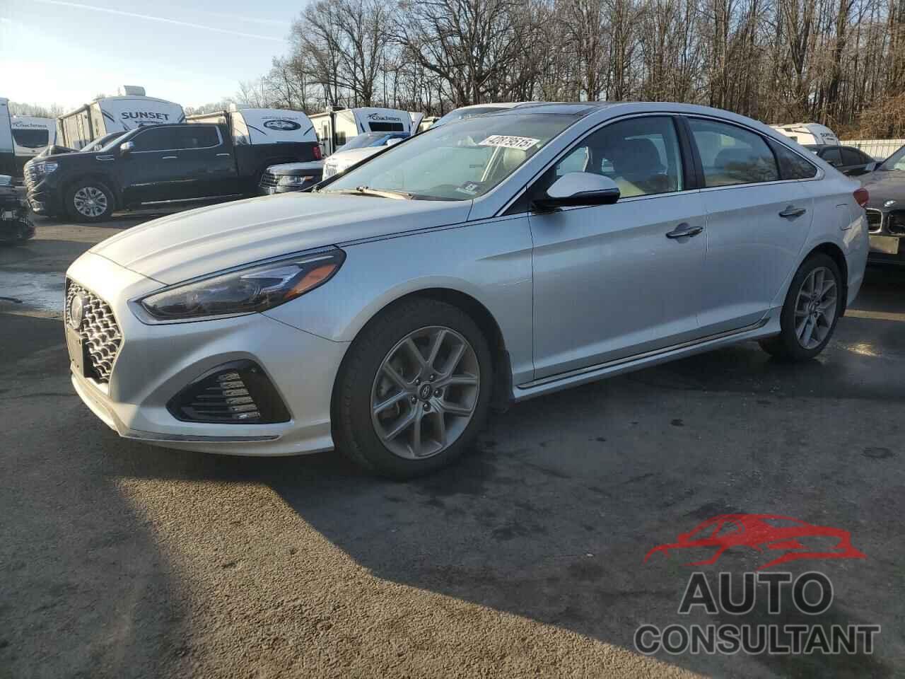 HYUNDAI SONATA 2019 - 5NPE34AB2KH733922