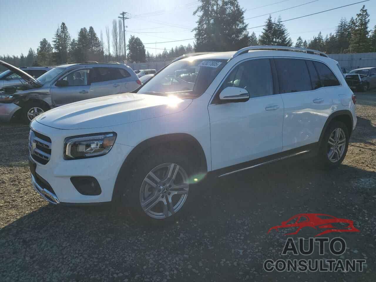MERCEDES-BENZ GLB-CLASS 2020 - W1N4M4HB1LW037149