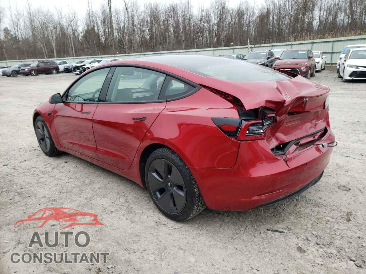 TESLA MODEL 3 2021 - 5YJ3E1EBXMF901799