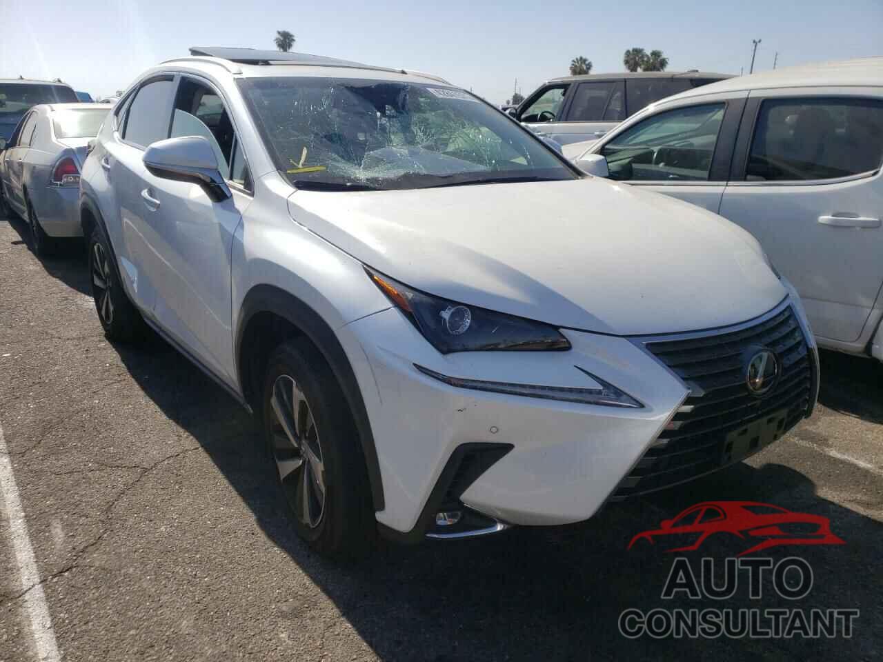 LEXUS NX 2019 - JTJYARBZ1K2156472