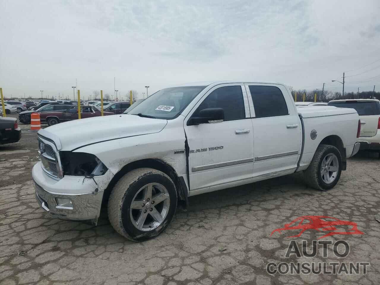 DODGE All Models 2011 - 1D7RV1CT2BS618342