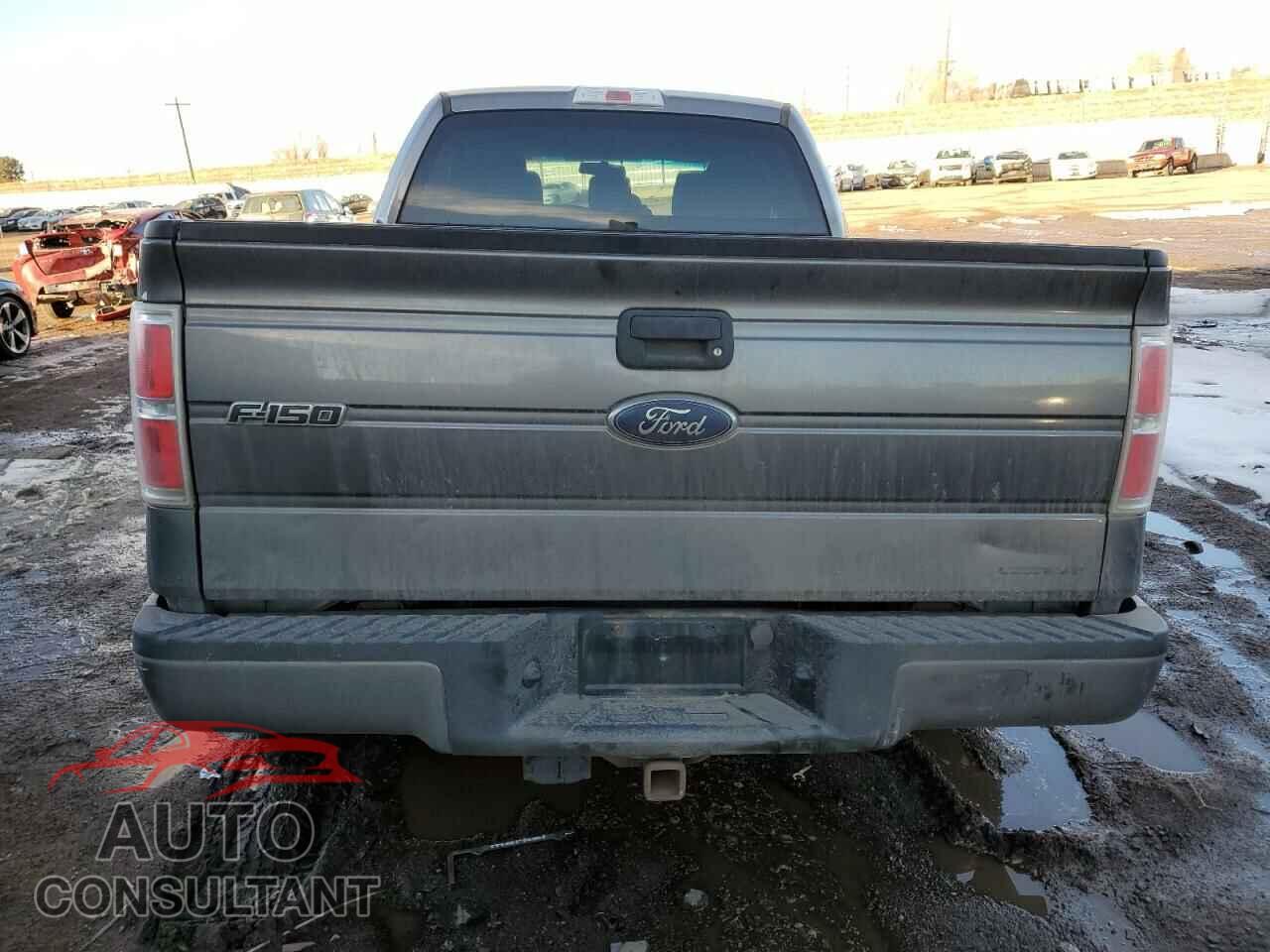 FORD F-150 2013 - 1FTFX1EF0DFE05917