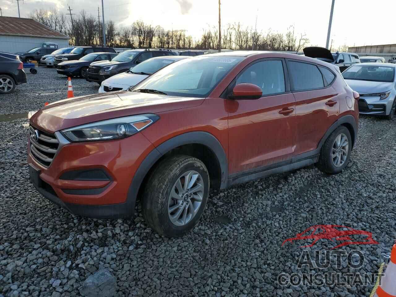 HYUNDAI TUCSON 2017 - KM8J23A46HU289046