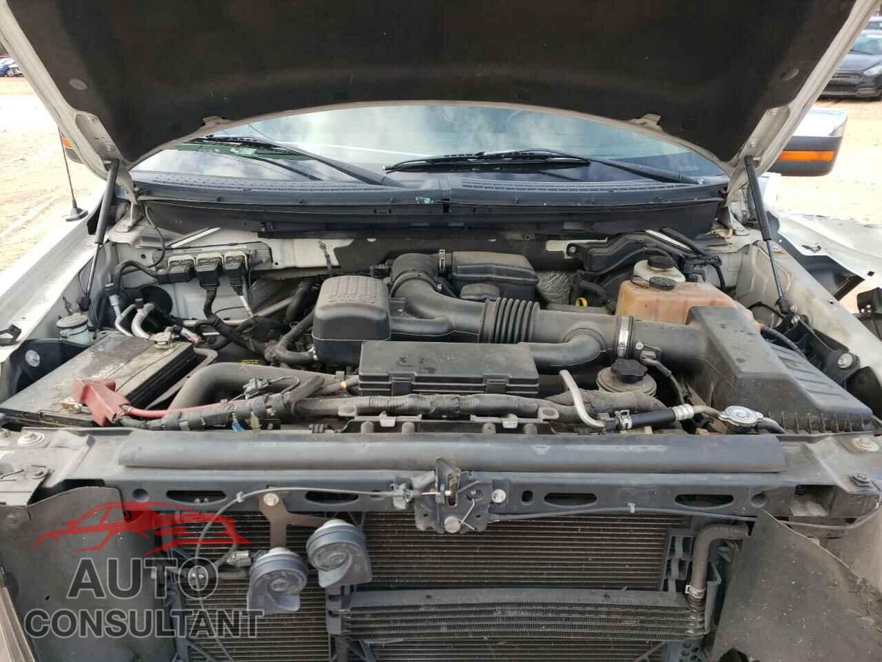 FORD F-150 2010 - 1FTFW1EV9AFB24821