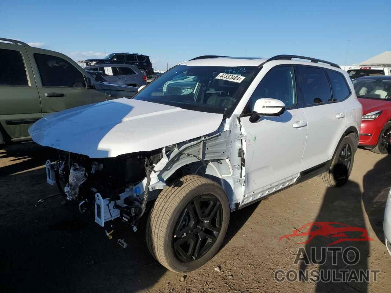 KIA TELLURIDE 2024 - 5XYP5DGC2RG453664