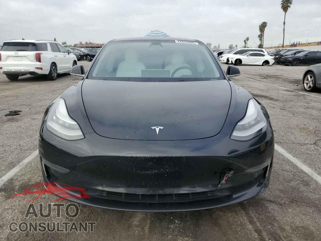 TESLA MODEL 3 2019 - 5YJ3E1EA3KF509171