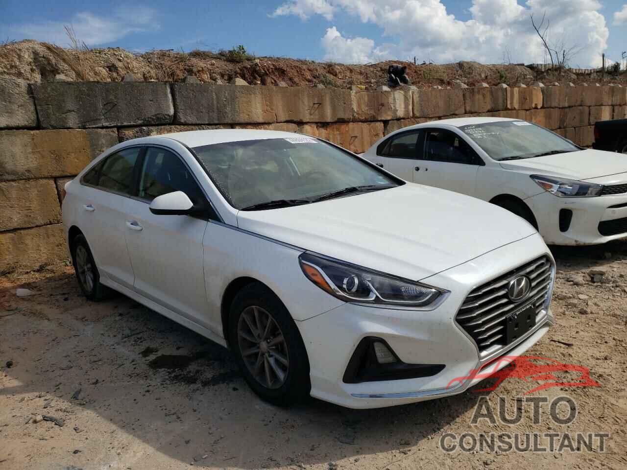 HYUNDAI SONATA 2019 - 5NPE24AF6KH801323