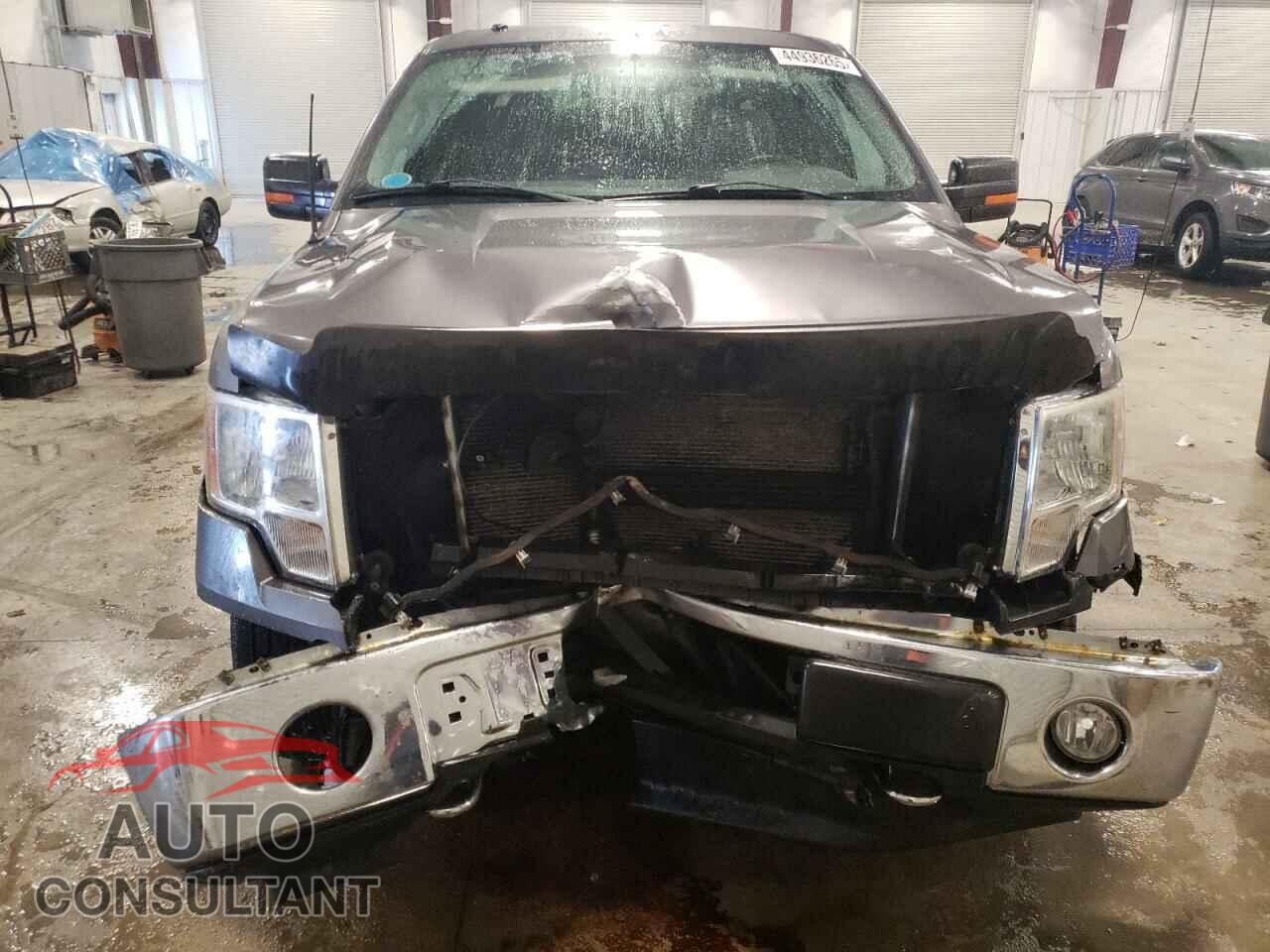 FORD F-150 2010 - 1FTEW1E81AFB80743