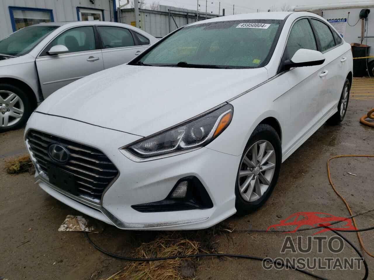 HYUNDAI SONATA 2019 - 5NPE24AF1KH774225