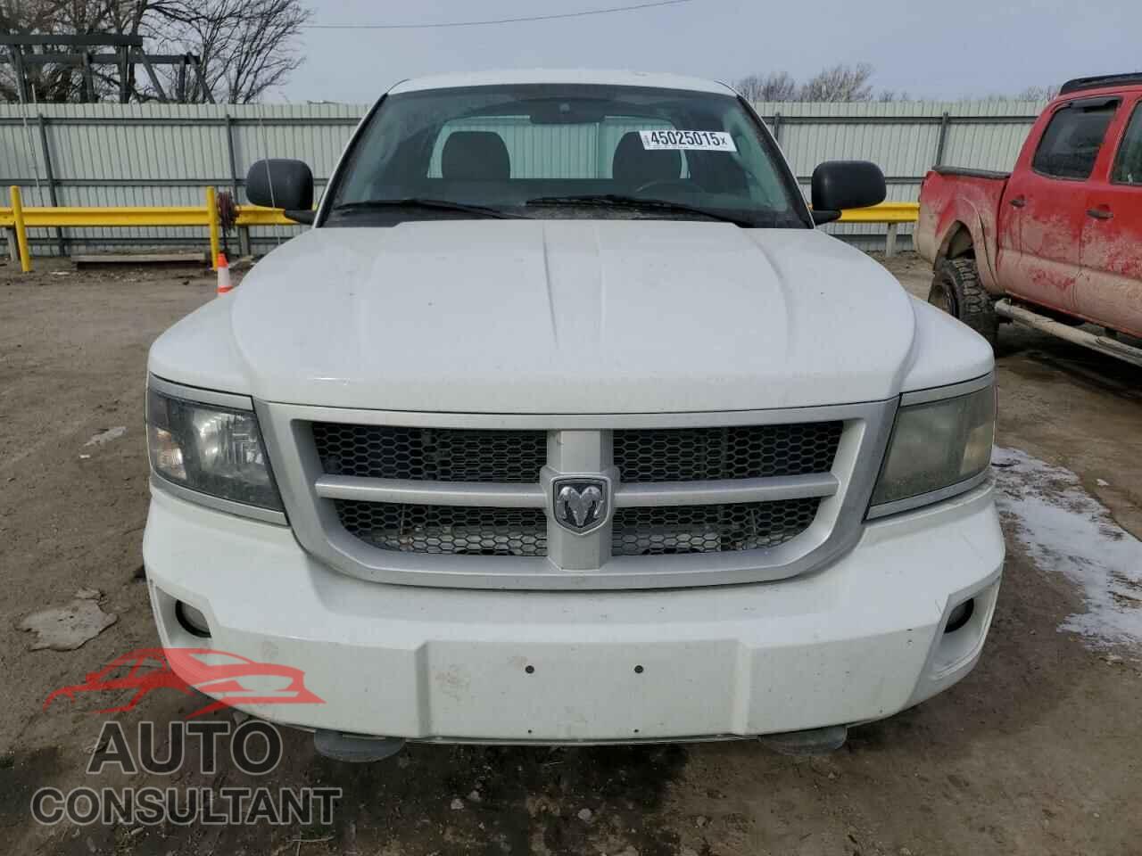DODGE DAKOTA 2011 - 1D7RW3BK5BS667231