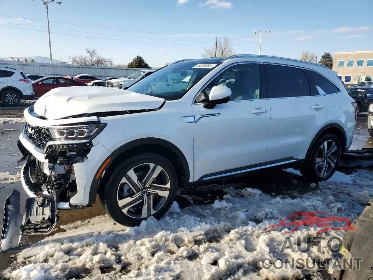 KIA SORENTO 2023 - KNDRKDLG4P5181599