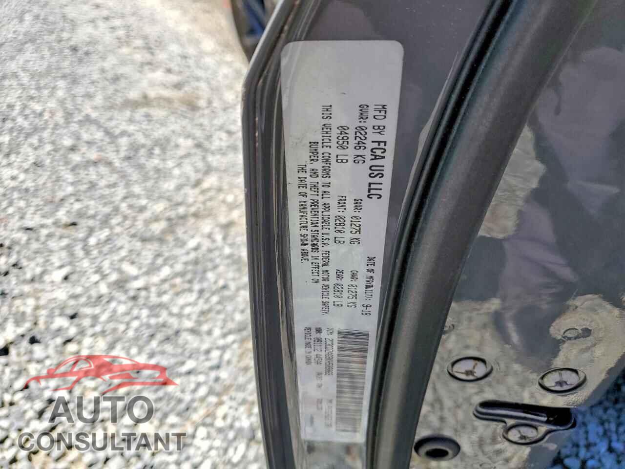 DODGE CHALLENGER 2019 - 2C3CDZAG9KH509069