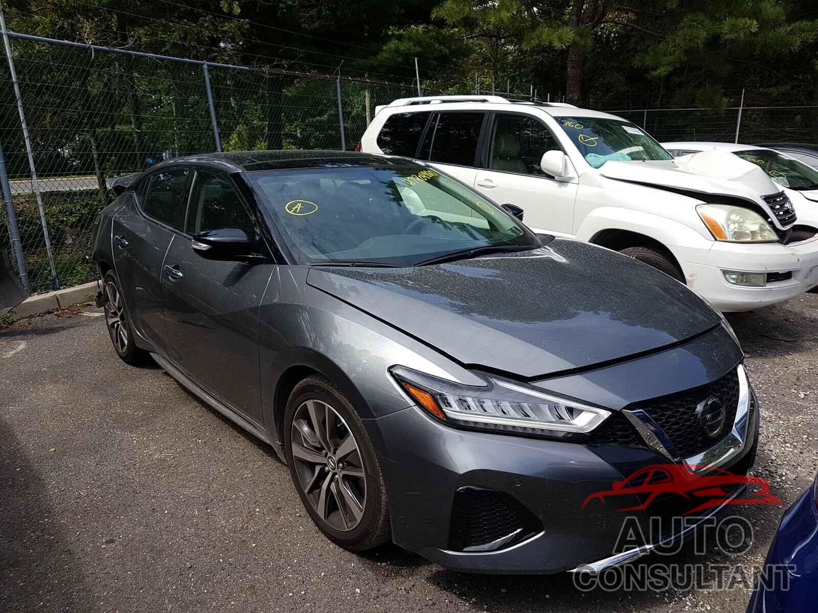 NISSAN MAXIMA 2019 - 1N4AA6AV3KC375757