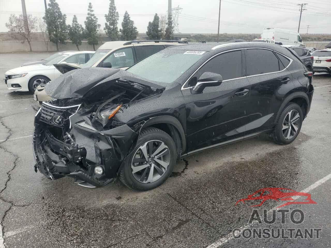 LEXUS NX 2019 - JTJYARBZXK2131585