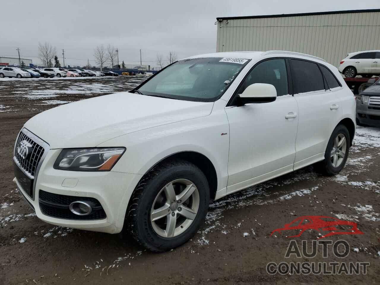 AUDI Q5 2010 - WA1MKCFP7AA074734
