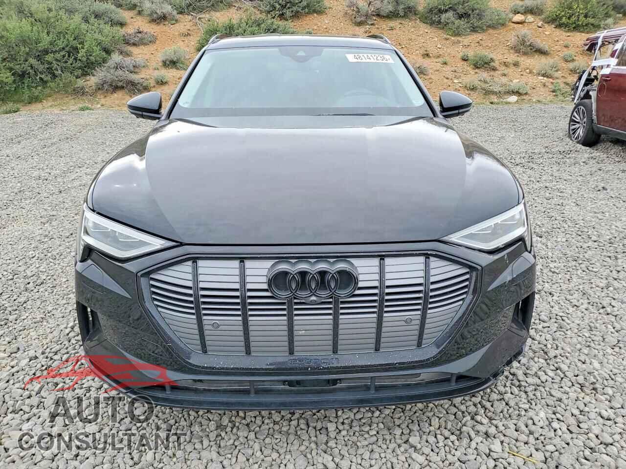 AUDI E-TRON 2019 - WA1VAAGE4KB009196