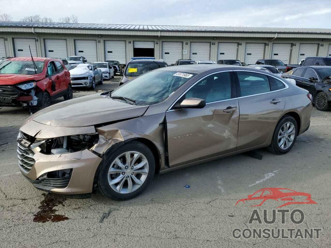 CHEVROLET MALIBU 2019 - 1G1ZD5ST2KF144867