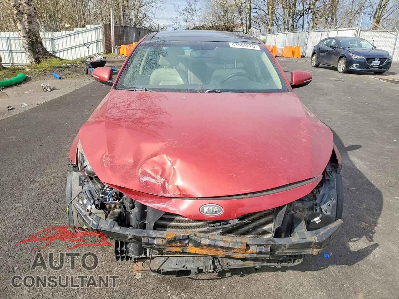 KIA OPTIMA 2011 - KNAGN4A73B5083199