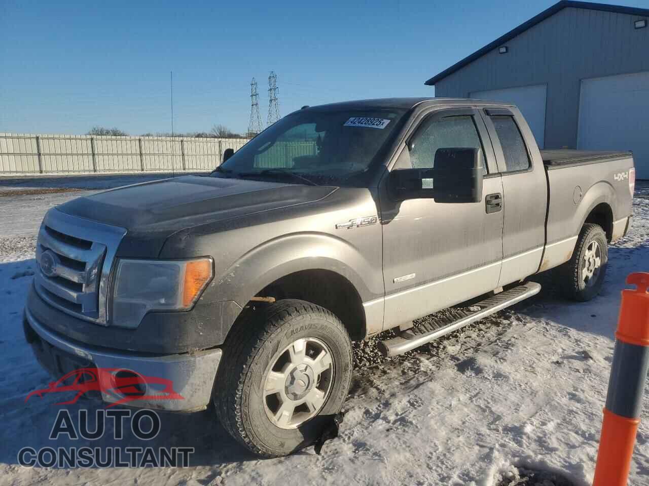 FORD F-150 2011 - 1FTFX1ET3BFC42991