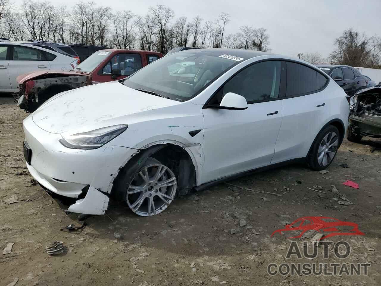 TESLA MODEL Y 2022 - 7SAYGDEE1NF462508