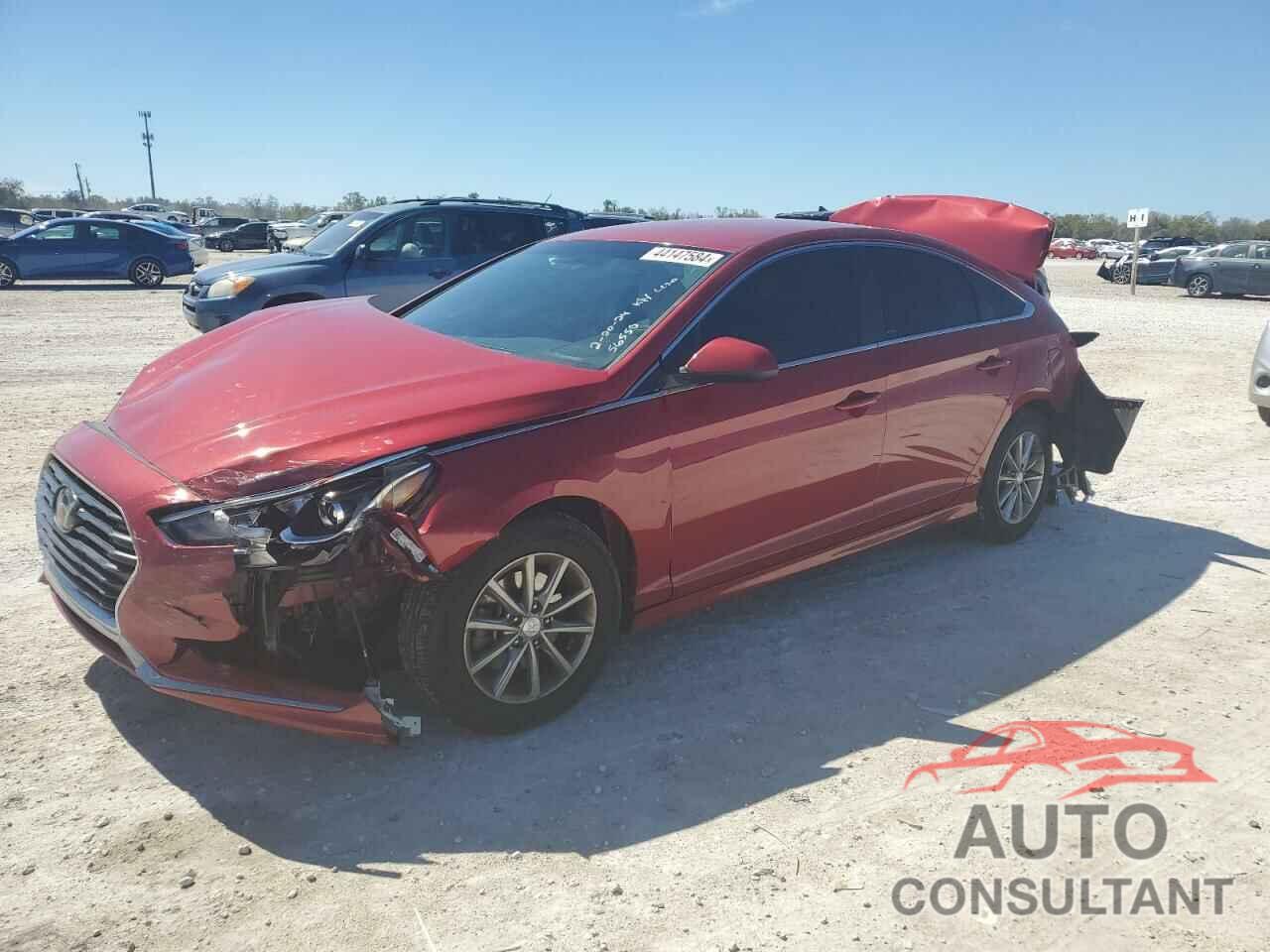 HYUNDAI SONATA 2019 - 5NPE24AF5KH786815