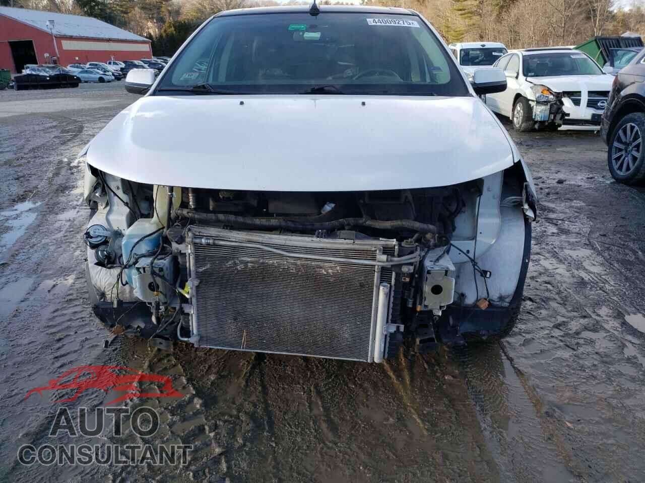 FORD EDGE 2014 - 2FMDK4KC2EBA88450