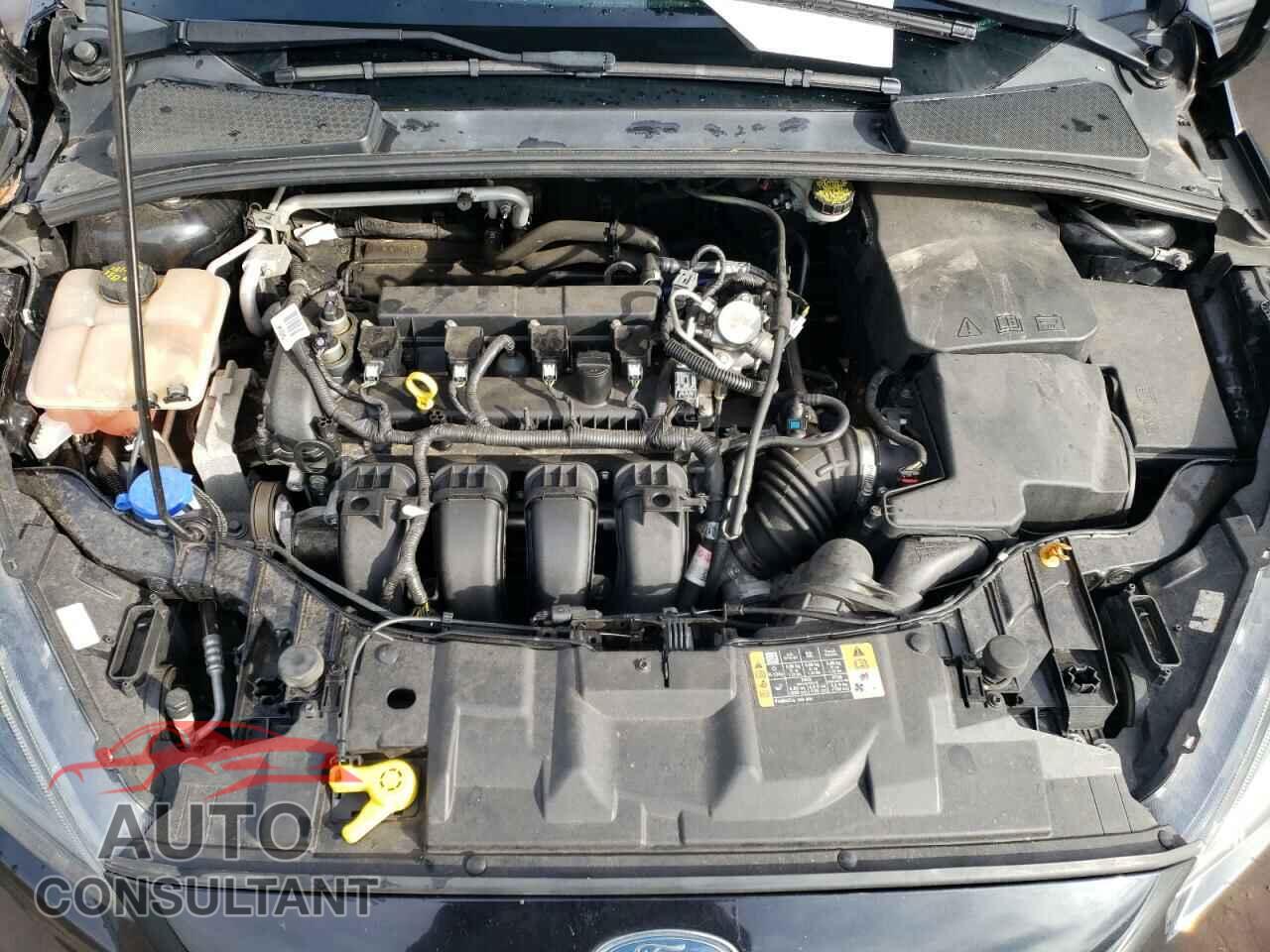 FORD FOCUS 2016 - 1FADP3F29GL380672